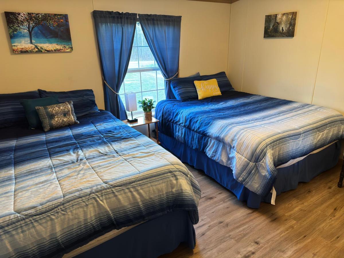Spacious Cozy Getaway ! King Bed, Game Room, Out Door Patio Cairo Экстерьер фото